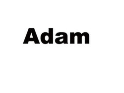 Alfombras Adam
