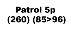 Patrol 5p (260 - techo normal) (85>96)