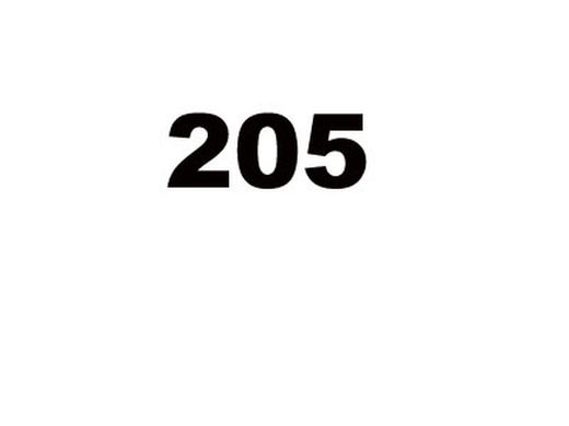 205