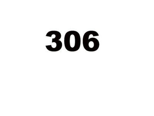 306