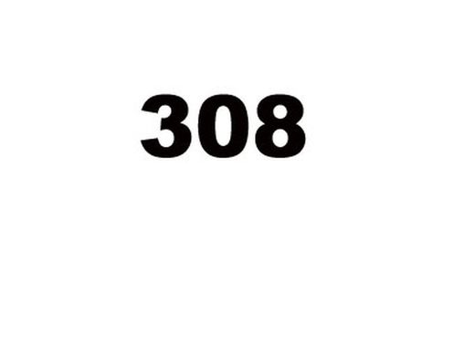 308