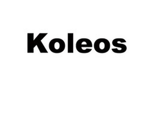 Alfombras Koleos