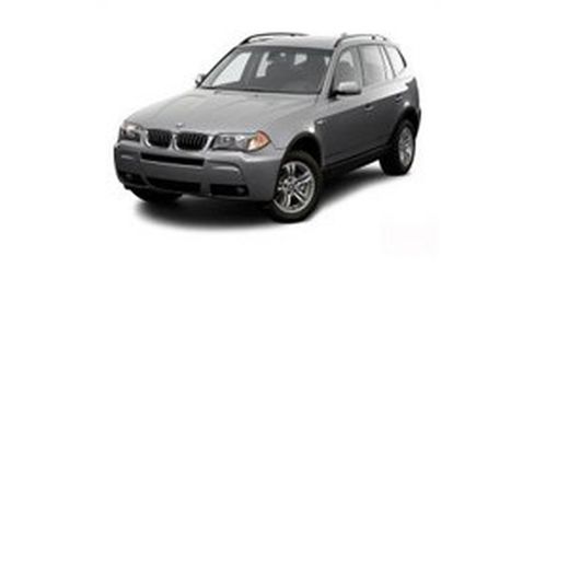 X3 (E83) 03>10