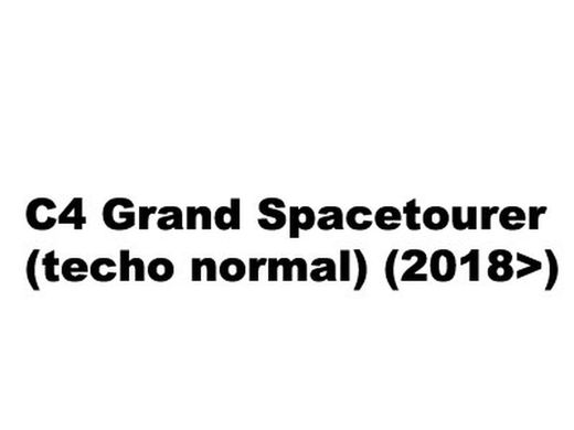 C4 Grand SpaceTourer 14> techo normal