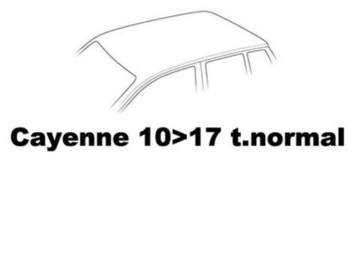 Cayenne 10>17 techo normal