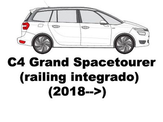 C4 Grand SpaceTourer 18> con railing