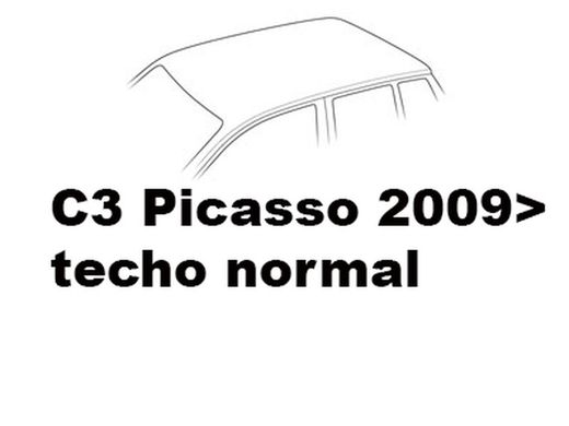C3 Picasso 2009> techo normal