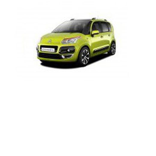 C3 Picasso ó X-TR 09> Railing