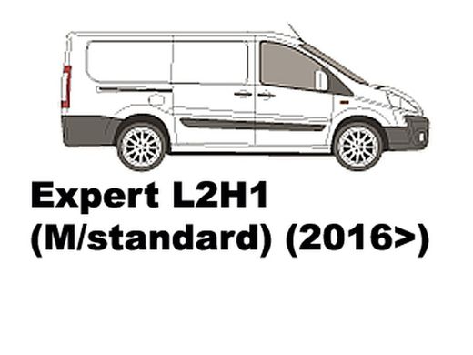 Expert L2H1 (M/standard) (2016>)
