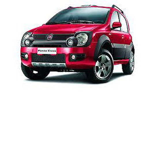 Panda Cross 14> con barras