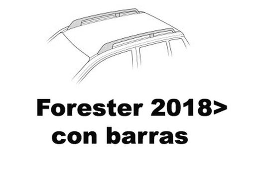 Forester 2018> con Barras