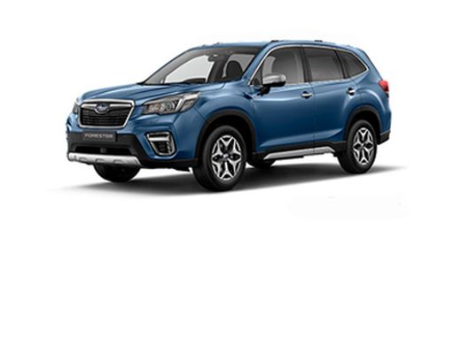 Forester 2018> Puntos anclaje