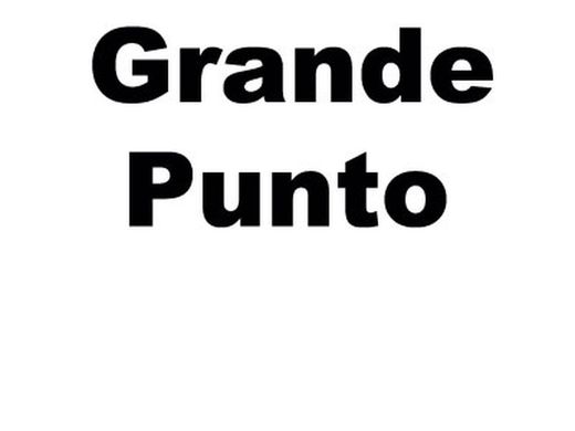 GRANDE PUNTO