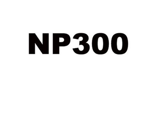 NP300