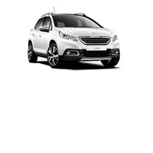 2008 I 13>19 con barras