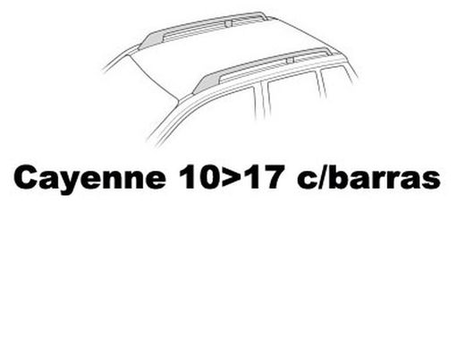 Cayenne 10>17 con barras