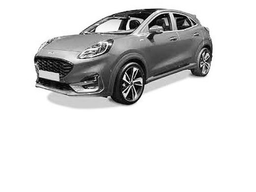 Puma 2020> techo normal