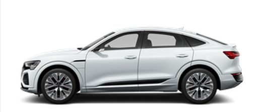 Q8 / SQ8 Sportback e-tron 23> con Railing