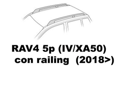 RAV 4 2018> con Railing