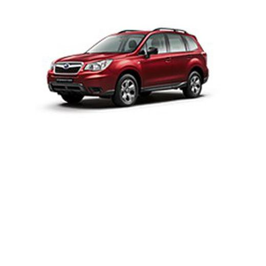 Forester 13>18 con barras