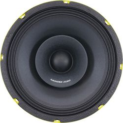 Altavoz de rango medio de alta potencia de 250 mm / 10" 500W COMPETITION