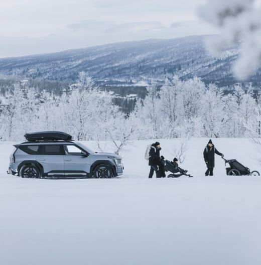 Thule Motion 3 L