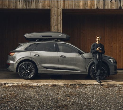 Thule Motion 3 L