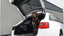 Parasol a medida Vw.Tiguan 5p. 16>