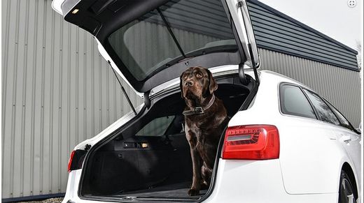 Parasol a medida Vw.Tiguan 5p. 16>