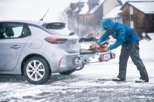 Portaesquis sobre bola Towcar Aneto