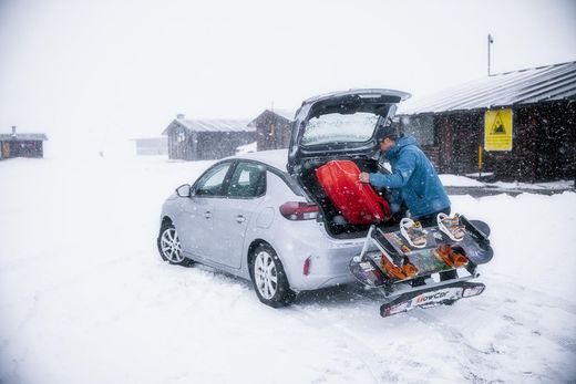 Portaesquis sobre bola Towcar Aneto