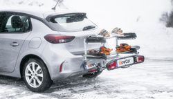 Portaesquis sobre bola Towcar Aneto