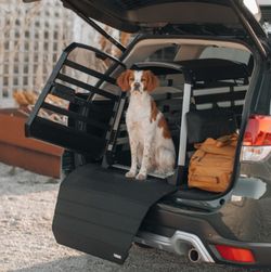Protector de parachoques ancho para transportÃ­n de perros