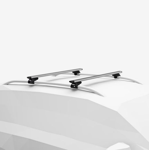 Barras de Techo Thule WingBar Evo