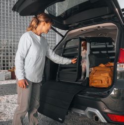 Transportin de coche para perros Thule Allax L compacto