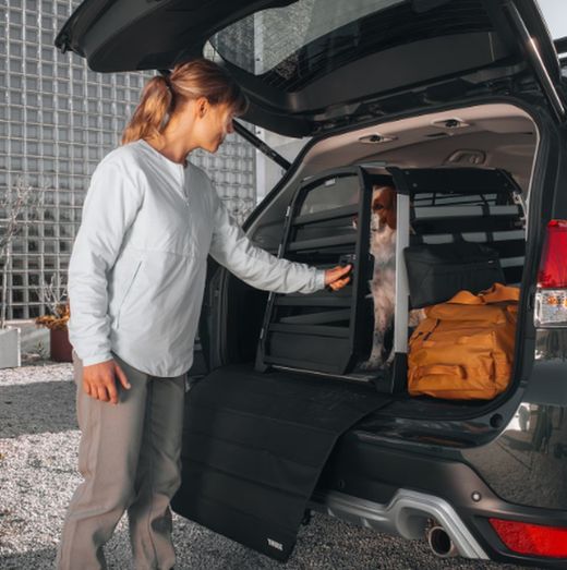 Transportin de coche para perros Thule Allax L compacto